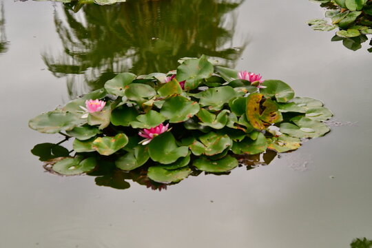 问鼎娱乐线上赌场